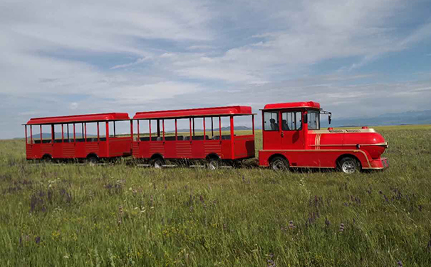 現(xiàn)代款紅色旅游景區(qū)觀光無(wú)軌小火車